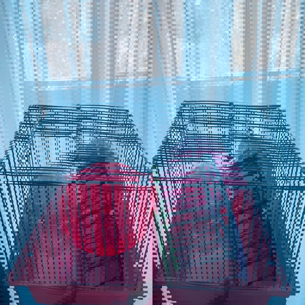 Клетка для хомяка