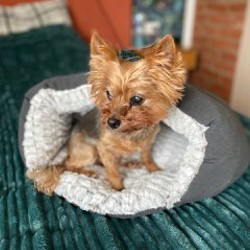 Магнитола с коннектором - фото 2