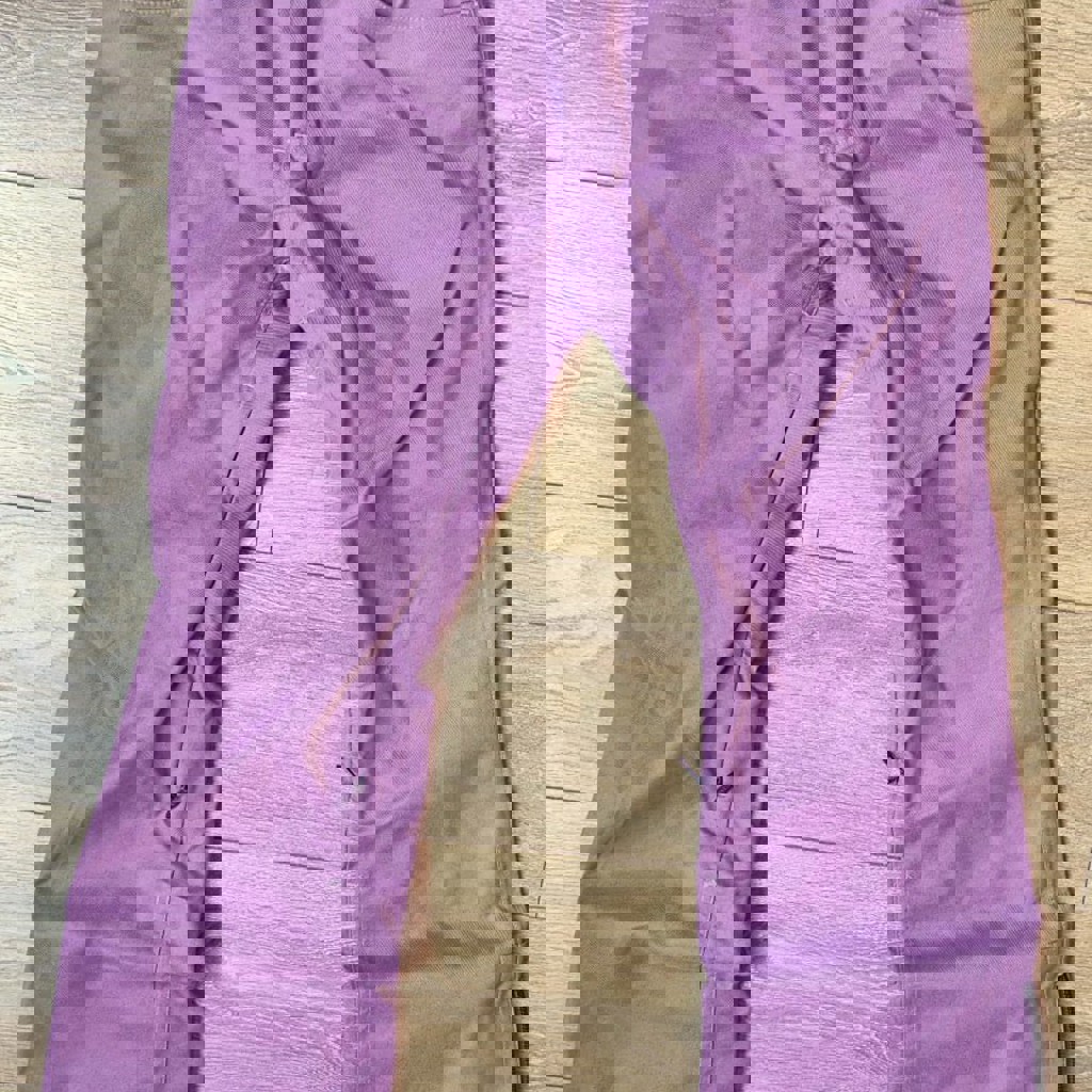 Сноубордические штаны AIRBLASTER MY BROTHERS PANT