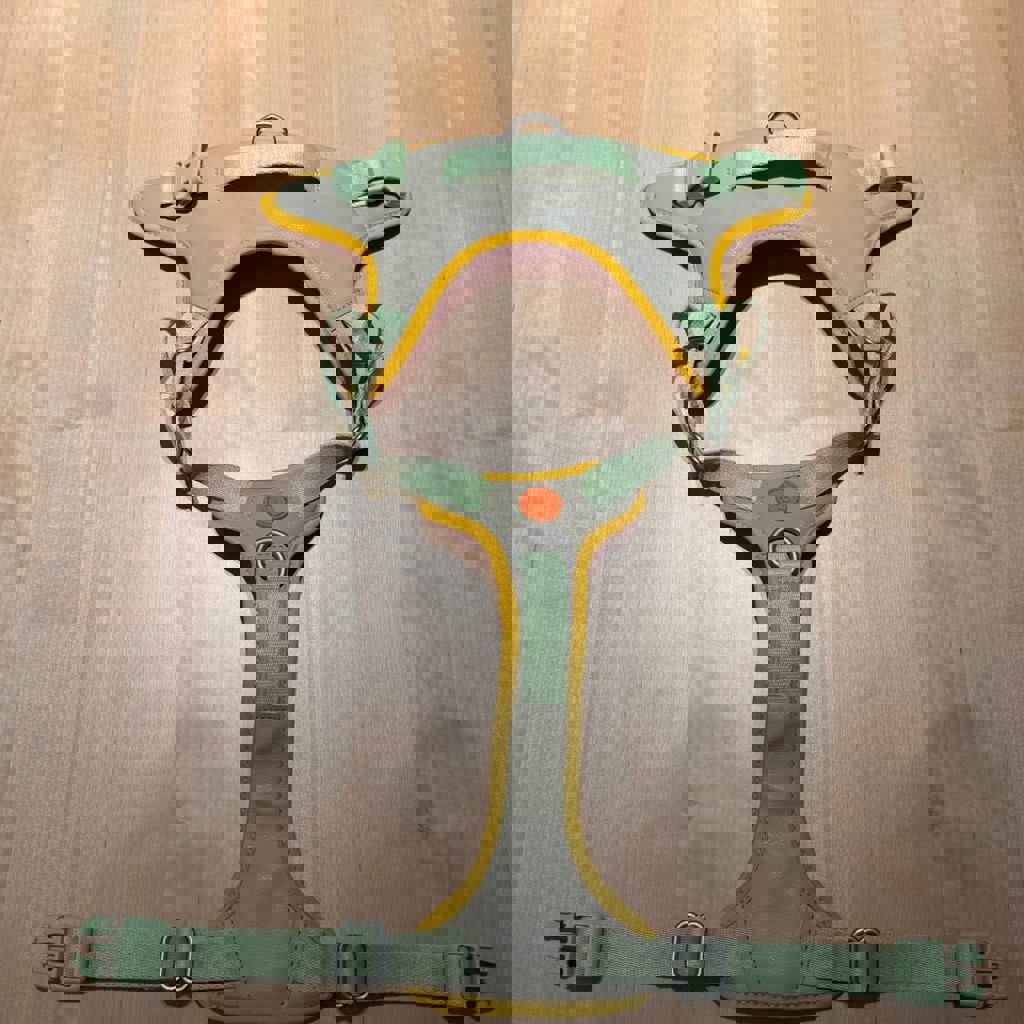 Длинный поводок