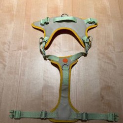 Длинный поводок - фото 1