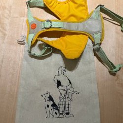 Длинный поводок - фото 2