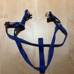 Длинный поводок - фото 4