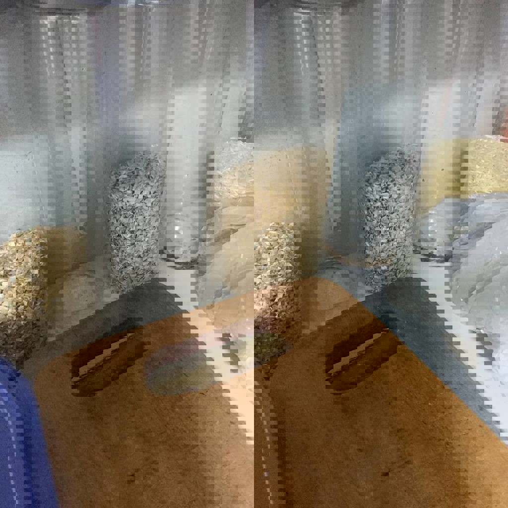 Банка пластиковая