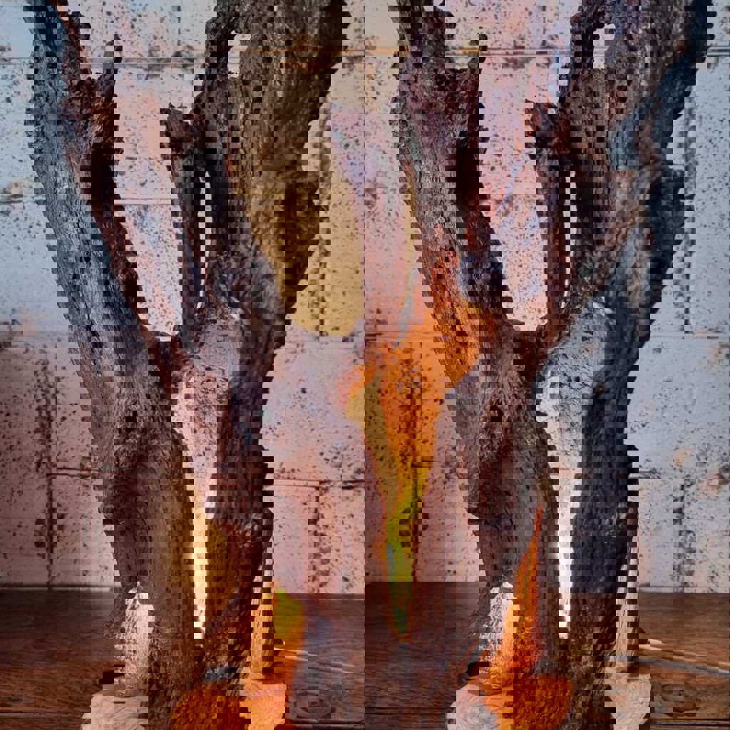 Светильник из корня бука