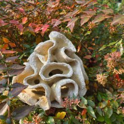 Ваза ручной работы - фото 5