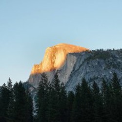 Fujifilm X100V Black Noir - фото 4