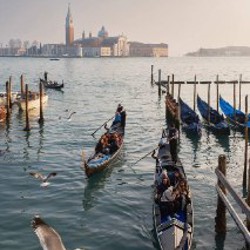 Fujifilm X100V Black Noir - фото 7