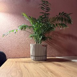 Осушитель воздуха WALFORT cs06 - фото 5