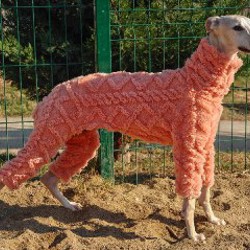 Костюм для собак Пушистый - фото 6