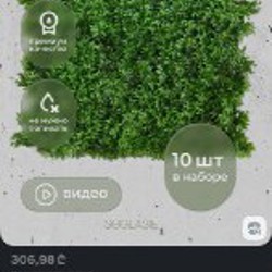 Декоративная трава - фото 2