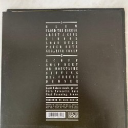 Пластинка - фото 2