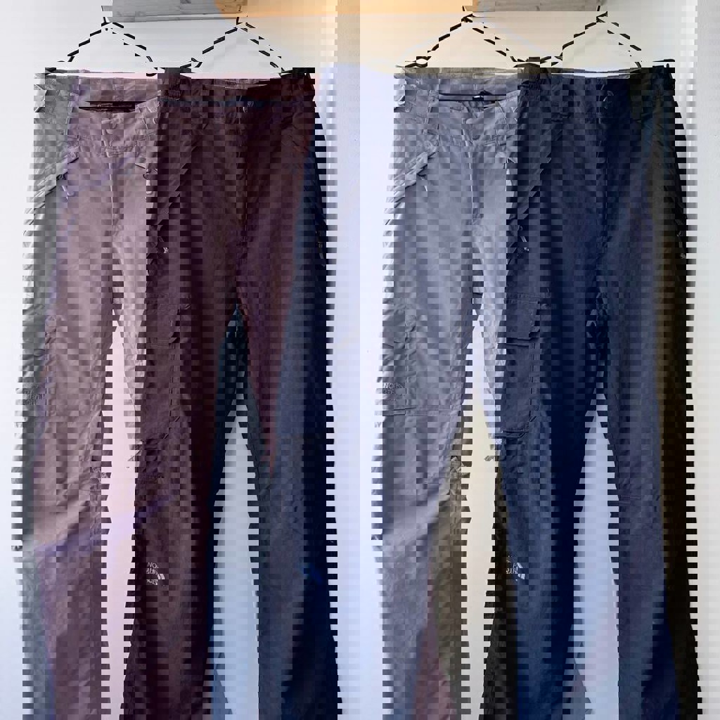 Штаны горнолыжные The North Face