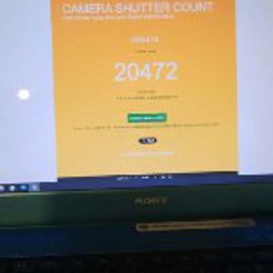 Nikon d90 - фото 7