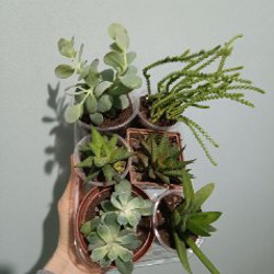 Балконный горшок 6л - фото 2