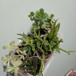 Балконный горшок 6л - фото 3