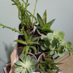 Балконный горшок 6л - фото 5