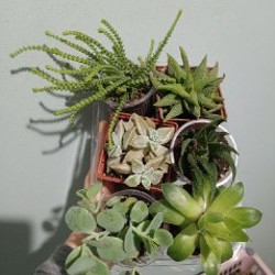 Балконный горшок 6л - фото 6