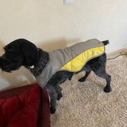 Охлаждающая попона - фото 6