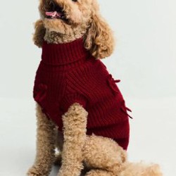 Свитер для собаки - фото 3