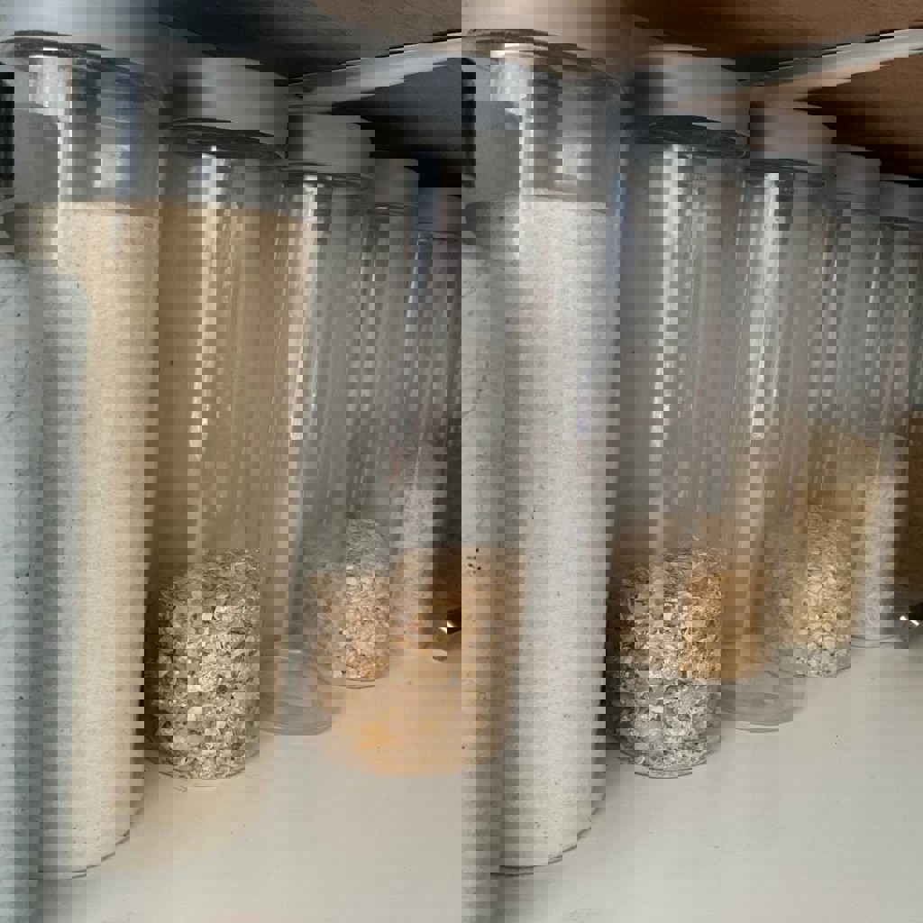 Ёмкость с крышкой