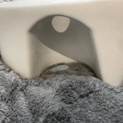 Круглая раковина - фото 2