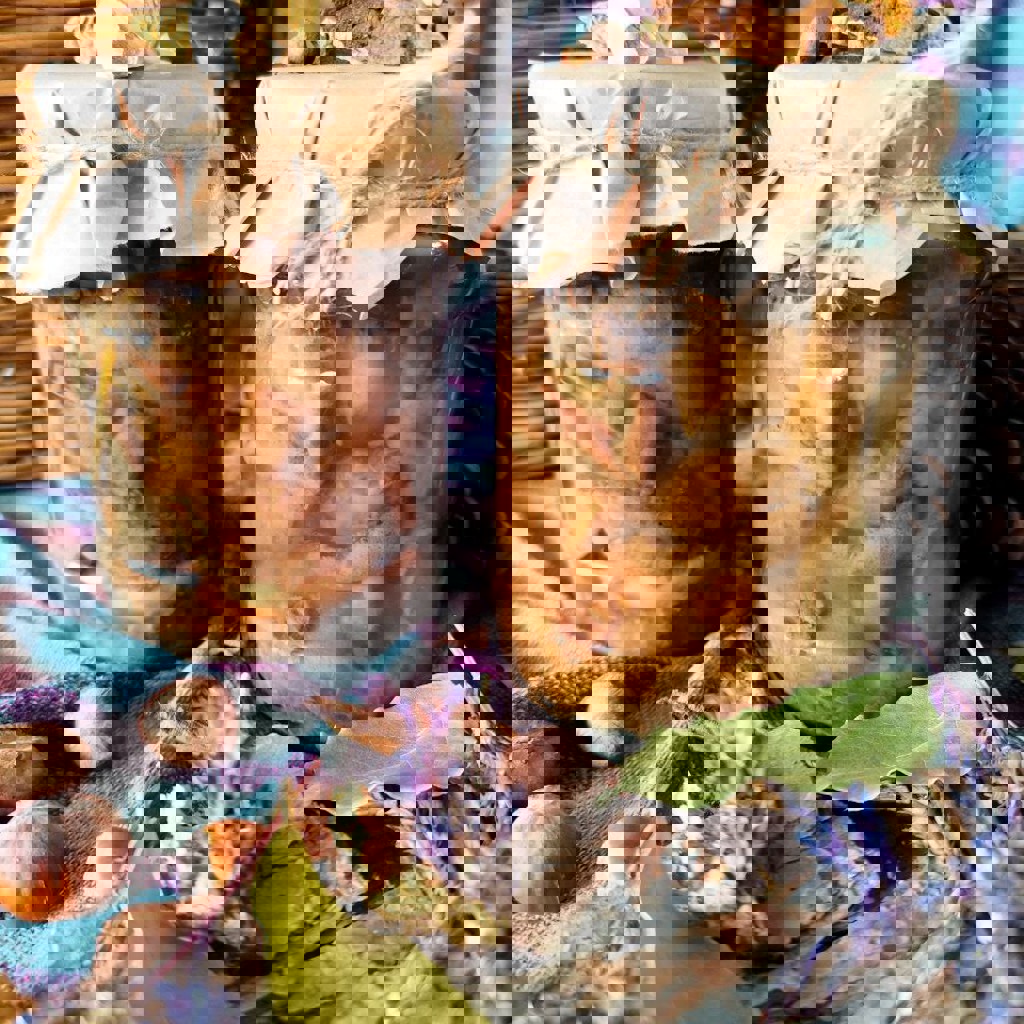 Маринованная мокруха пурпурная