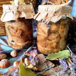 Маринованная мокруха пурпурная - фото 1