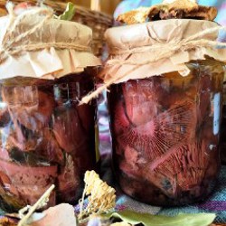 Маринованная мокруха пурпурная - фото 3