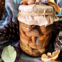 Маринованная мокруха пурпурная - фото 4