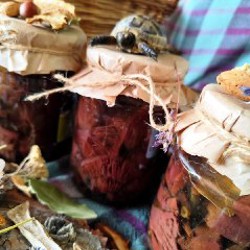 Маринованная мокруха пурпурная - фото 6