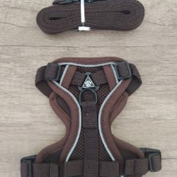 Шлейка для кошек и собак мелких пород - фото 4