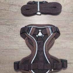 Шлейка для кошек и собак мелких пород - фото 5