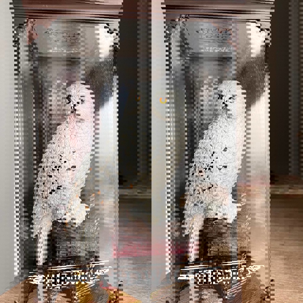 Хедвиг/Букля из Гарри Поттера