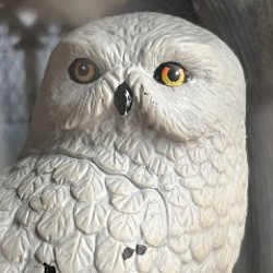 Хедвиг/Букля из Гарри Поттера - фото 4