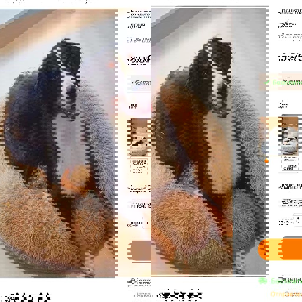 Лежанка для пуделя