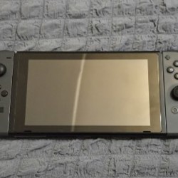 Pokemon Sword - фото 3