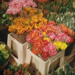 Pentax espio 125 - фото 9