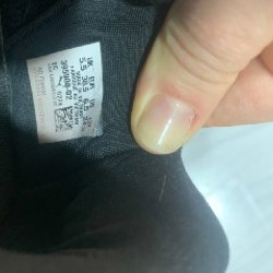 Puma velophasis - фото 2