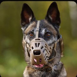 Намордник для собаки - фото 7