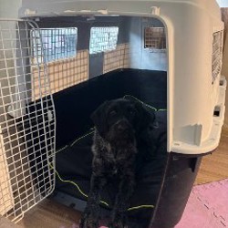 Переноска Ferplast Atlas 80 - фото 4