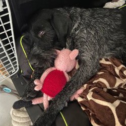 Переноска Ferplast Atlas 80 - фото 5