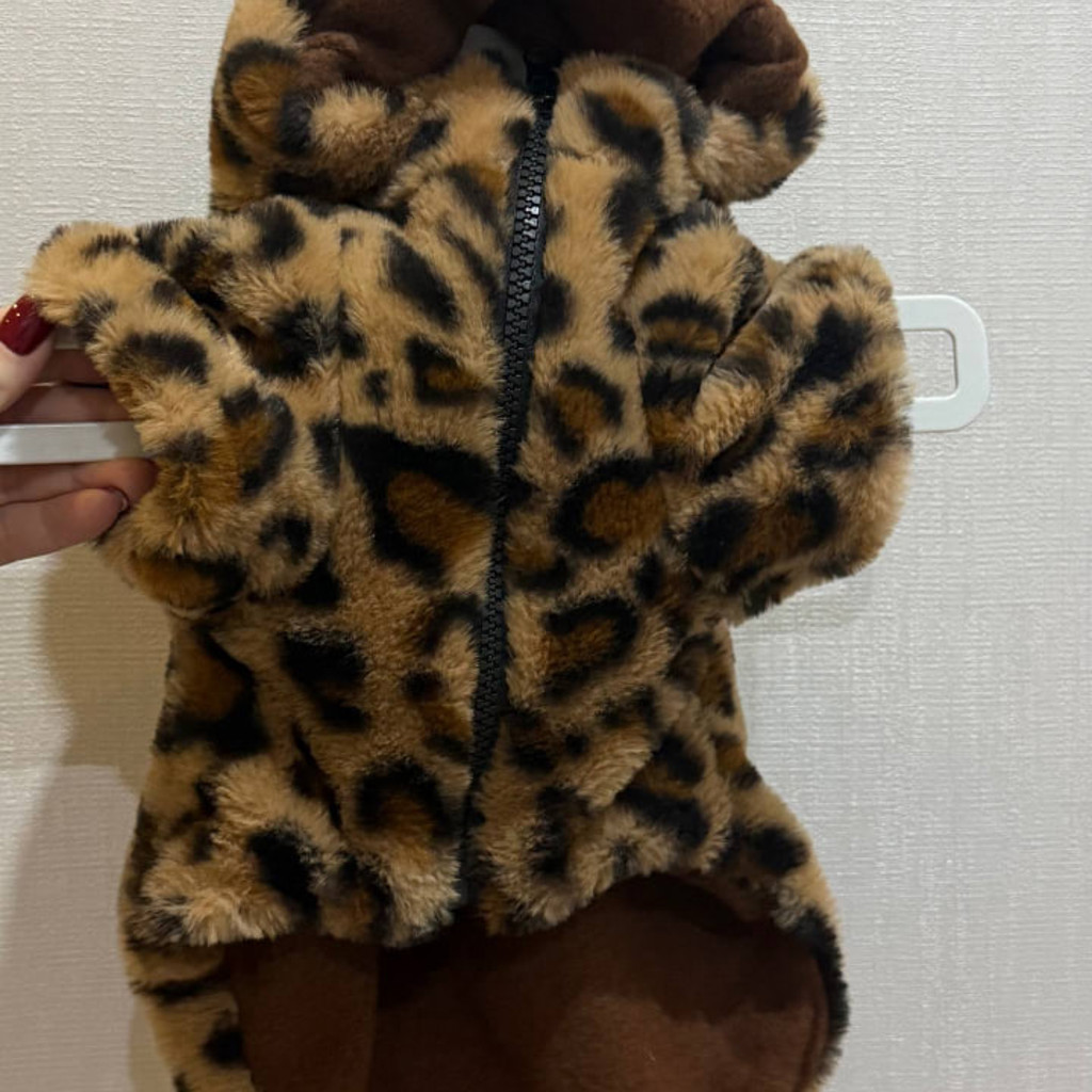 Одежда на собаку маленьких пород