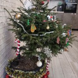 Подвесные горшки без растений - фото 1