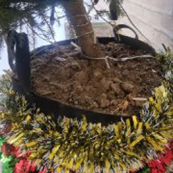 Подвесные горшки без растений - фото 3