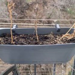 Подвесные горшки без растений - фото 5