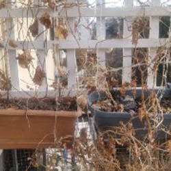 Подвесные горшки без растений - фото 6