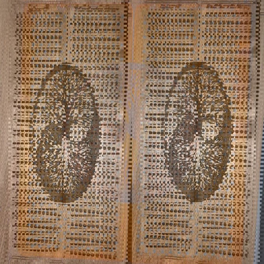 Доска садху