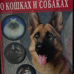 Грузия - фото 2