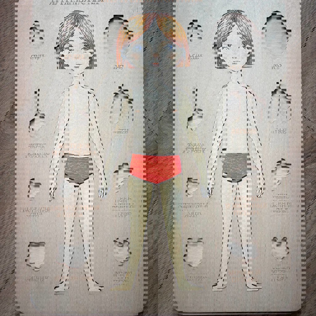 Деревянный пазл «внутренние органы»